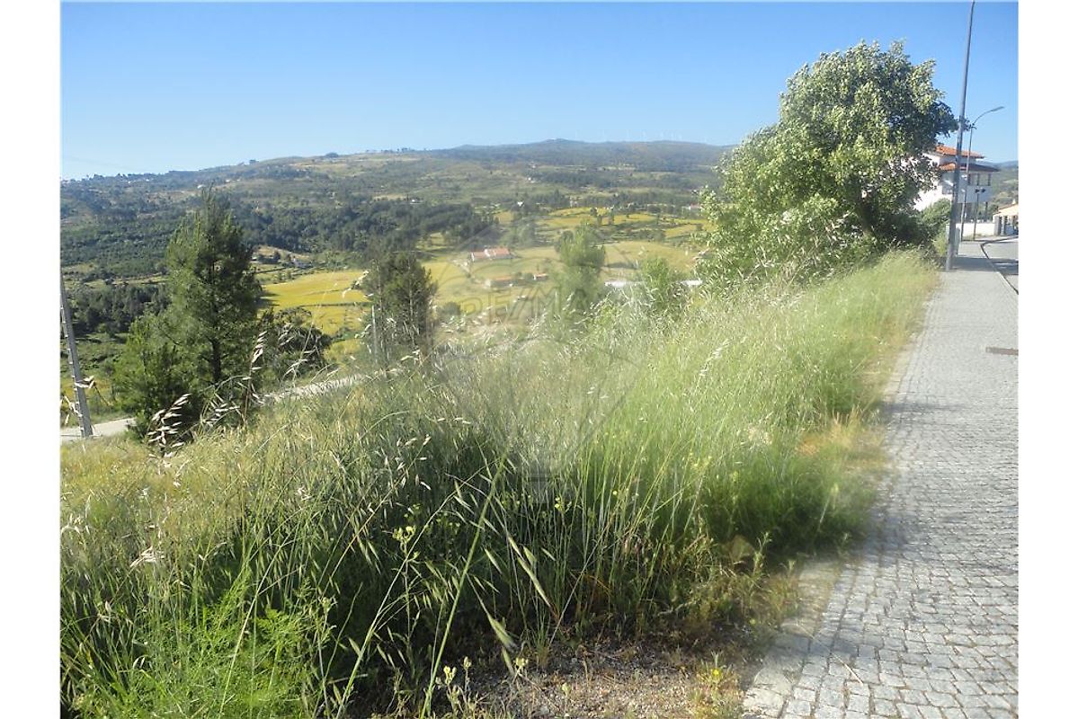 Terreno à venda em Celorico da Beira