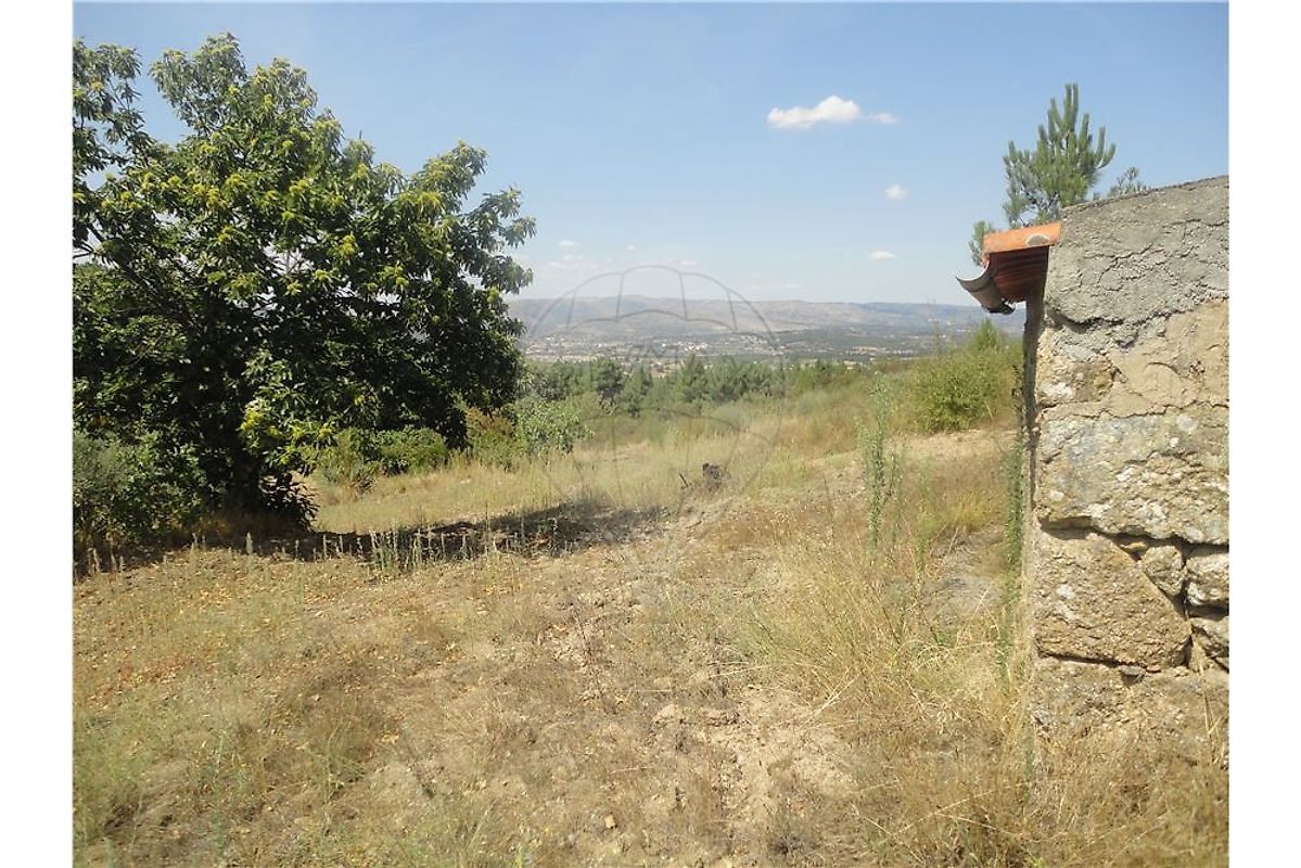 Quinta T0 à venda em Celorico da Beira
