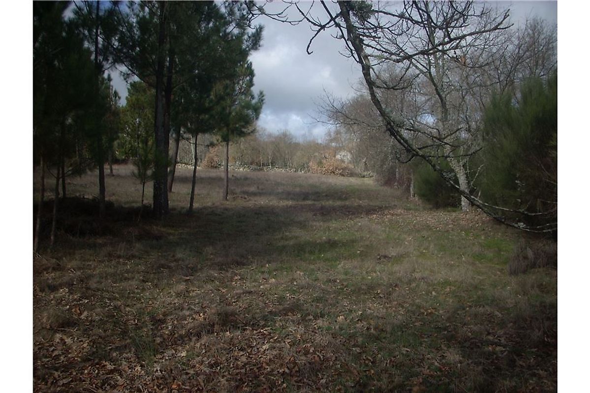 Terreno à venda em Guarda