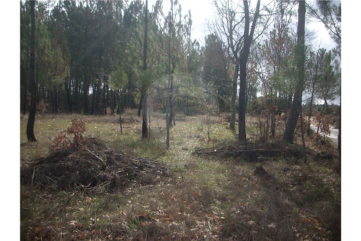Terreno à venda em Guarda