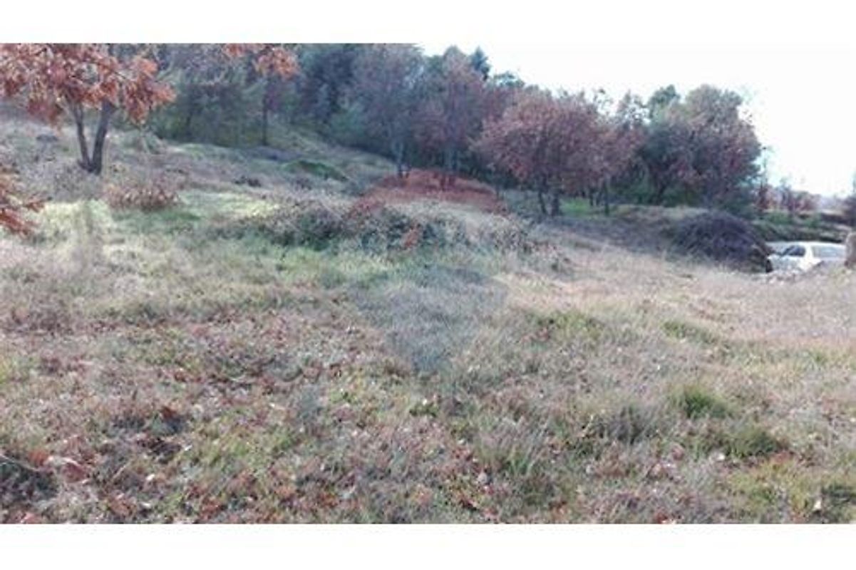Terreno em Belmonte