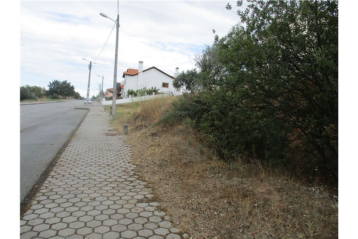 Terreno  à venda em Pinhel