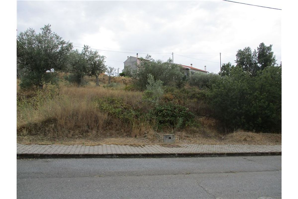Terreno  à venda em Pinhel