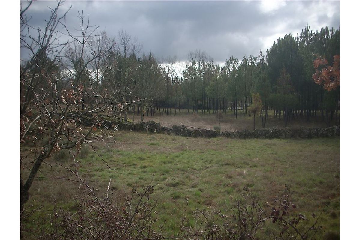 Terreno à venda em Guarda