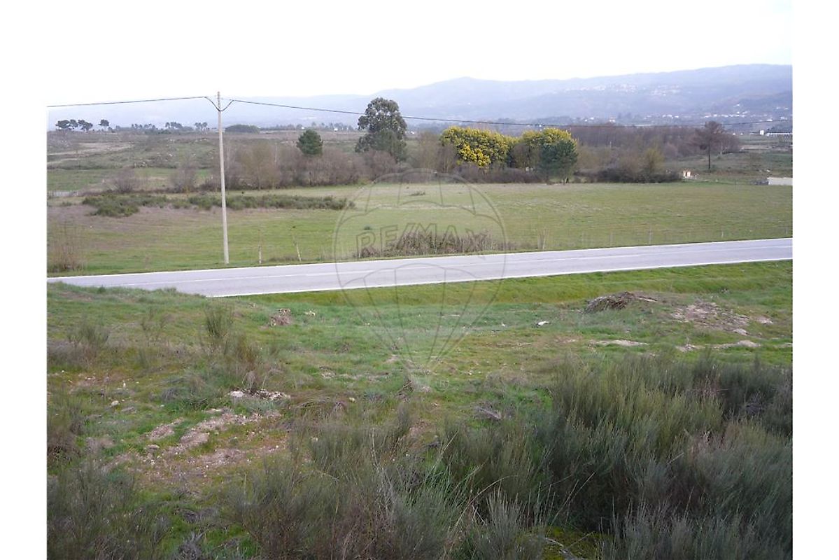 Terreno  à venda em Gouveia
