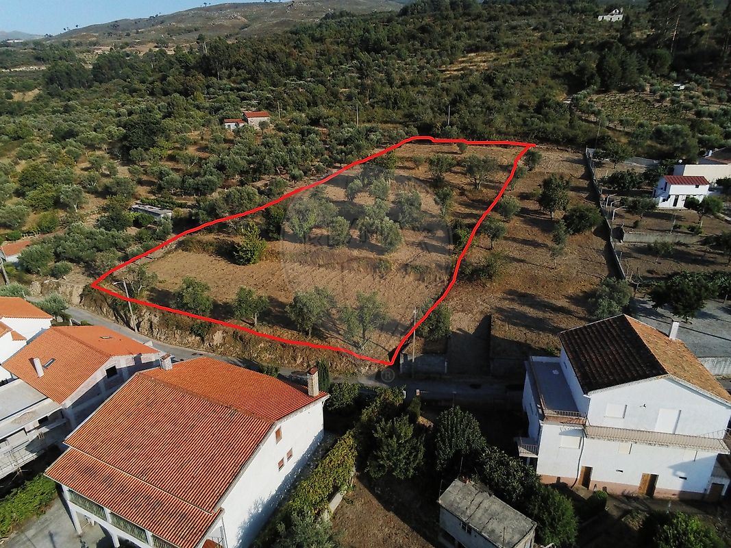 Terreno  à venda em Gouveia