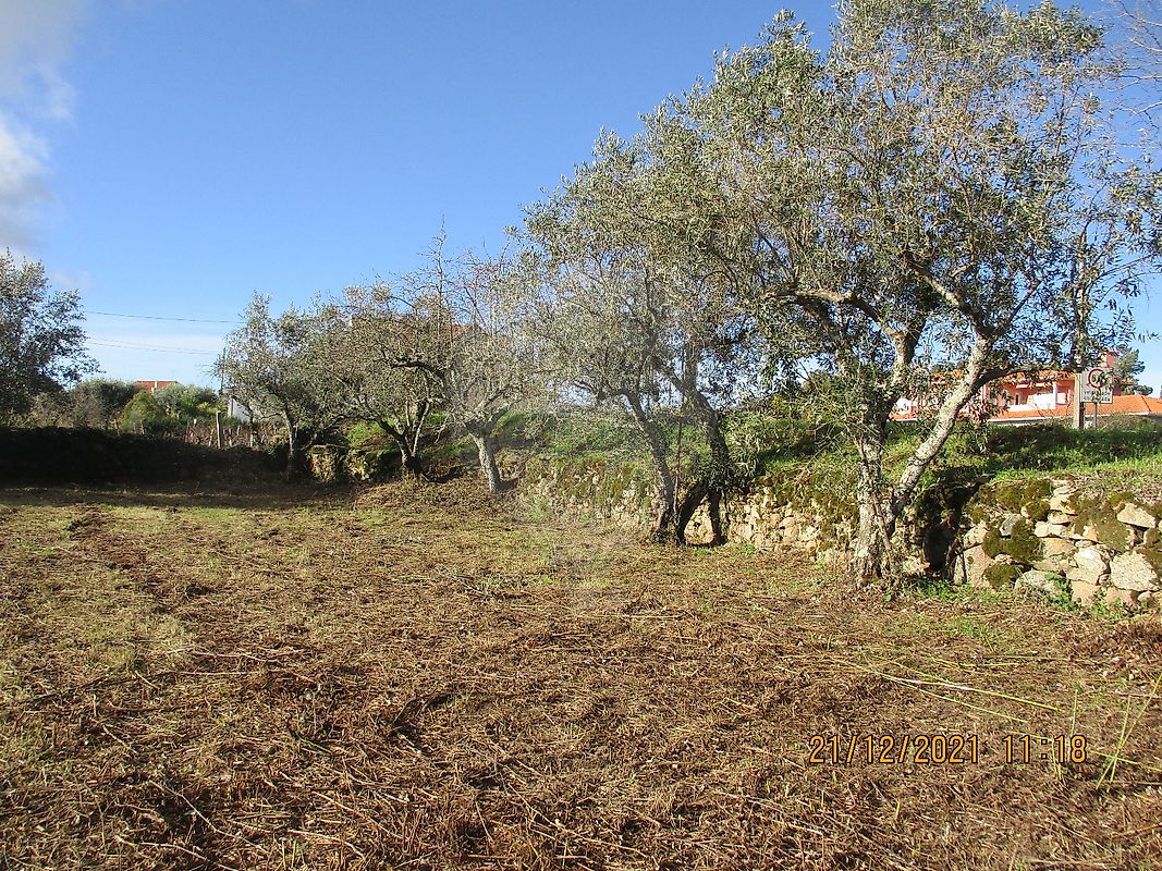 Terreno para venda