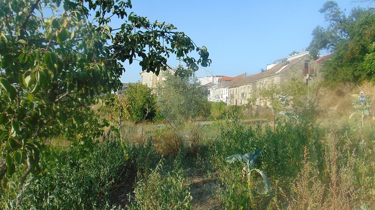 Moradia T3 à venda em Celorico (São Pedro e Santa Maria) e Vila Boa do Mondego, Celorico da Beira — foto 14