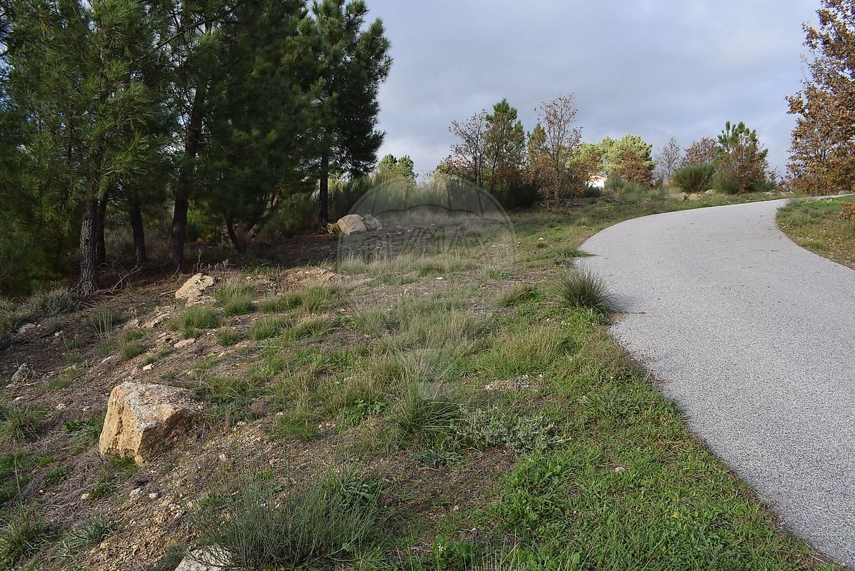 Terreno em Guarda