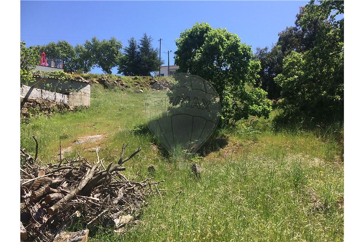 Terreno  à venda em Pinhel