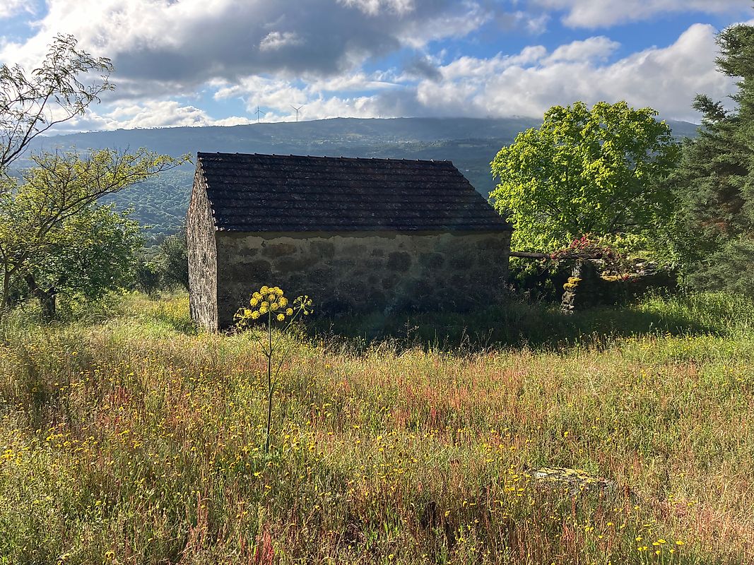 Quinta  à venda em Celorico da Beira