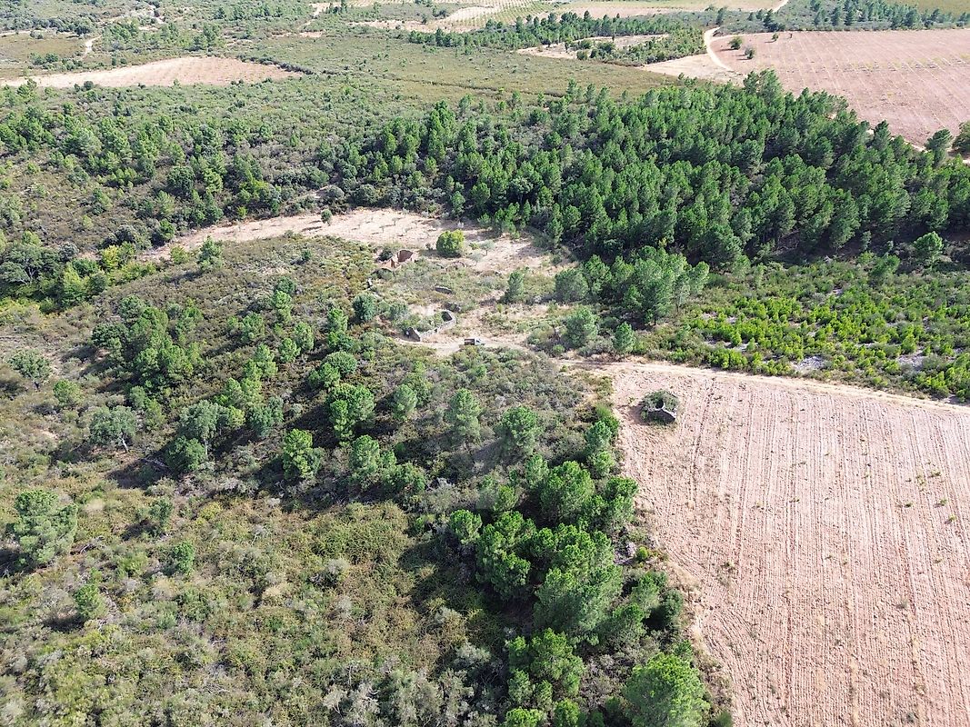 Terreno  para venda