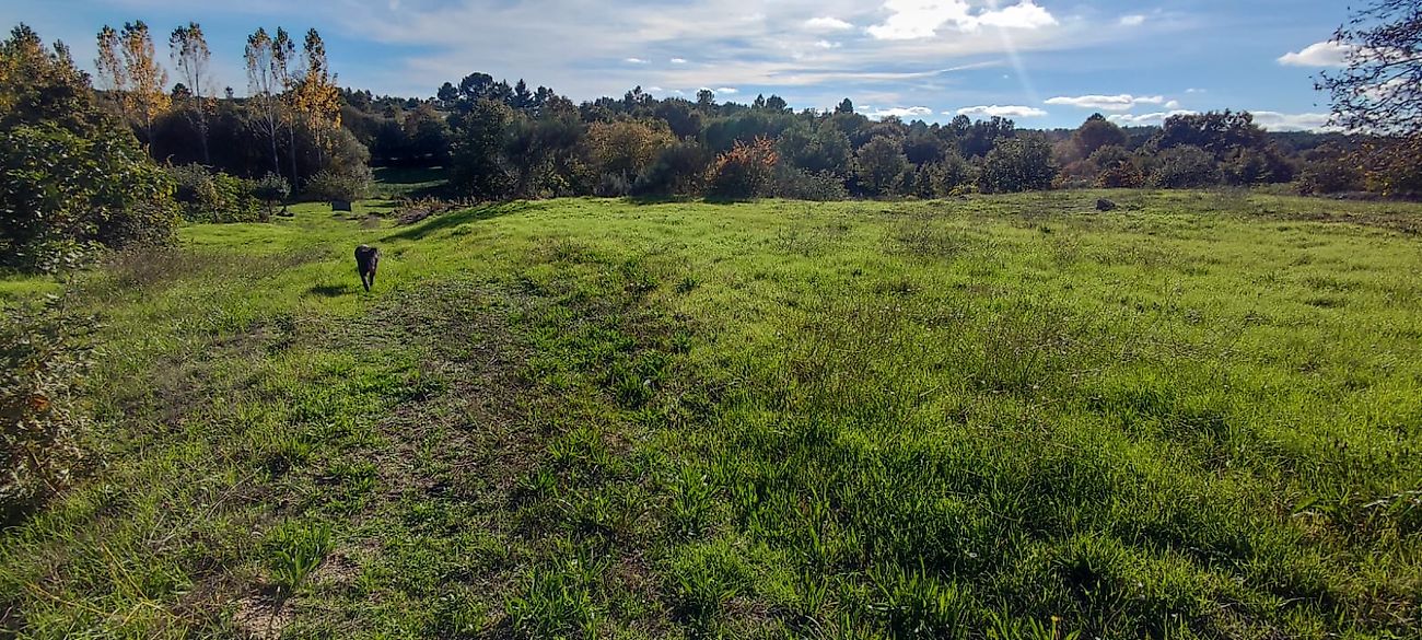 Moradia T2 à venda em Santana da Azinha, Guarda — foto 10