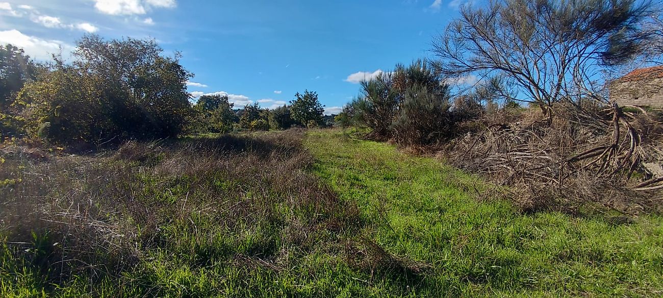 Moradia T2 à venda em Santana da Azinha, Guarda — foto 11