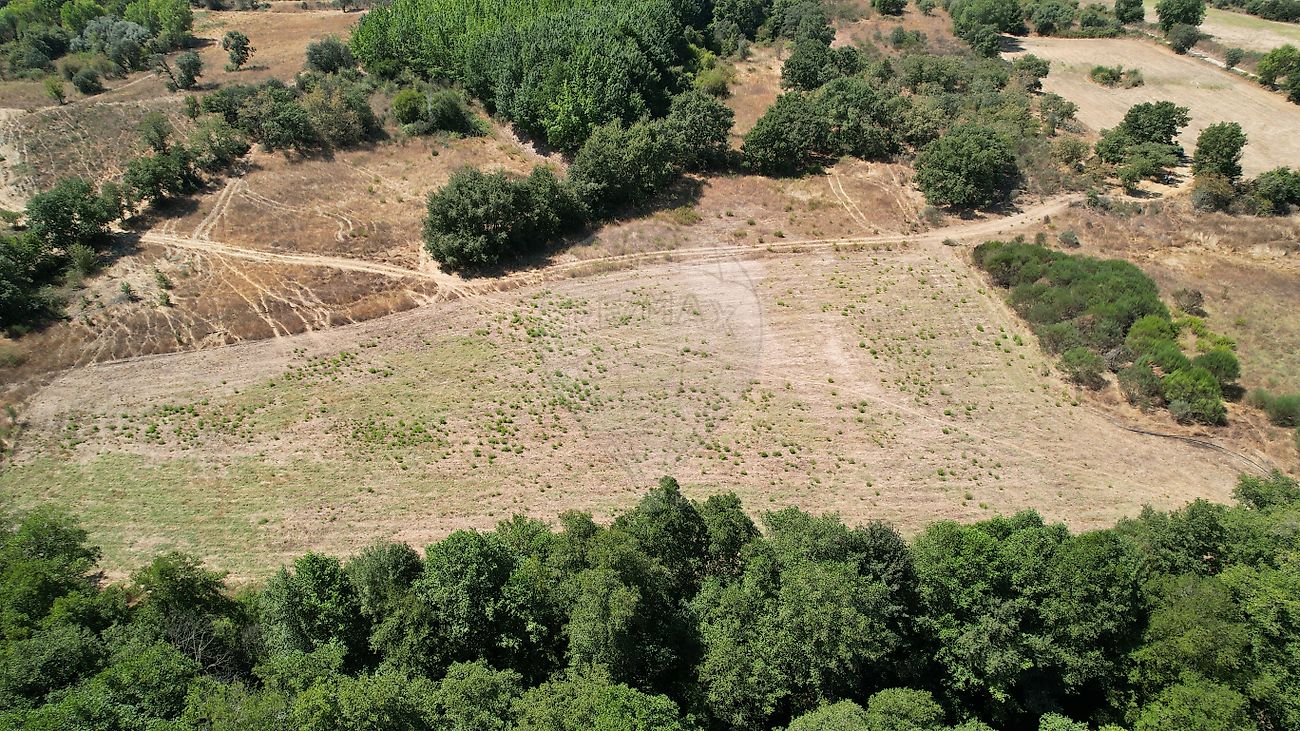 Terreno  para venda