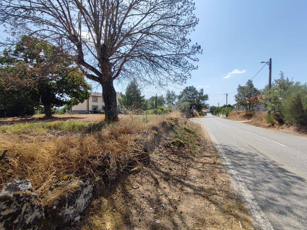 Terreno  para venda