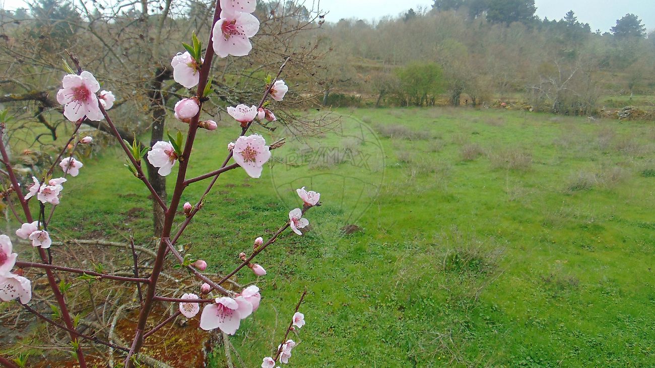 Moradia T2 à venda em João Antão, Guarda — foto 11
