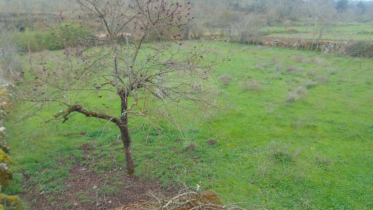 Moradia T2 à venda em João Antão, Guarda — foto 10