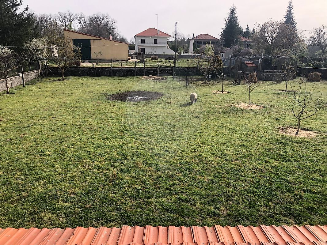 Moradia T3 à venda em Lajeosa e Forcalhos, Sabugal — foto 14