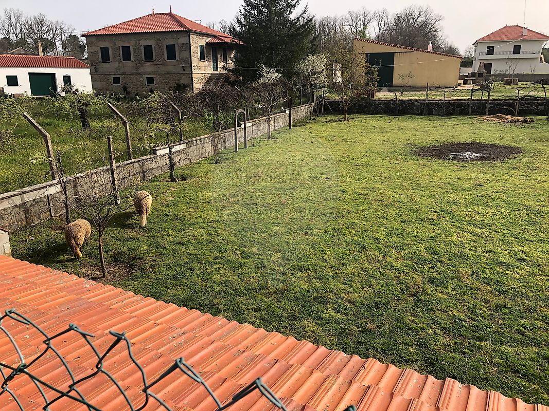 Moradia T3 à venda em Lajeosa e Forcalhos, Sabugal — foto 13