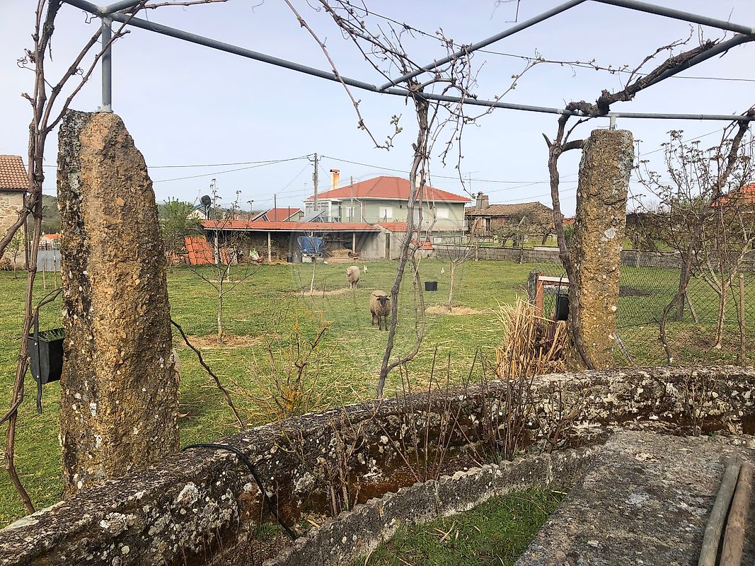 Moradia T3 à venda em Lajeosa e Forcalhos, Sabugal — foto 9