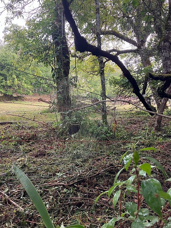 Moradia T0 à venda em Vila Franca das Naves e Feital, Trancoso — foto 7