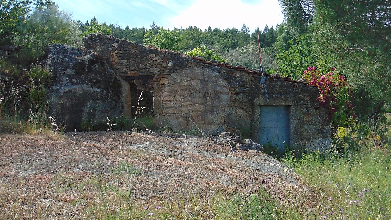 Terreno - Celorico (São Pedro e Santa Maria) e Vila Boa do Mondego, Celorico da Beira, Guarda
