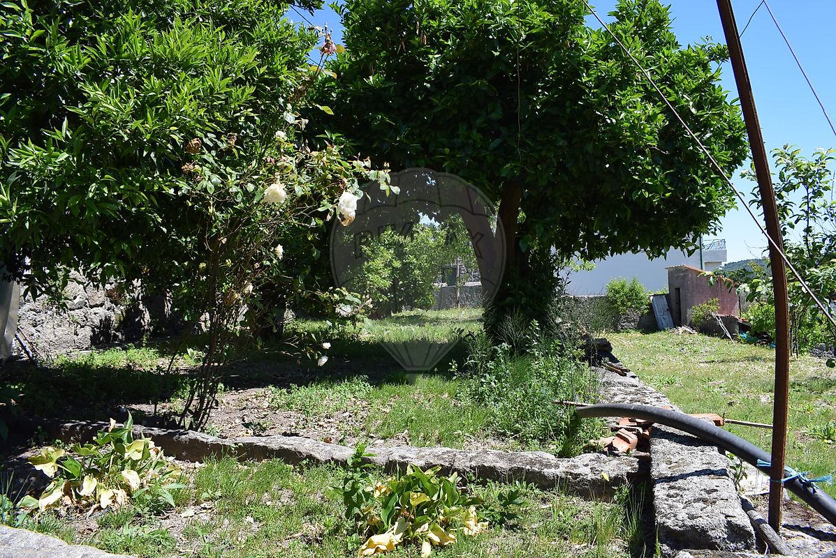 Moradia T6+ à venda em Juncais, Vila Ruiva e Vila Soeiro do Chão, Fornos de Algodres — foto 6