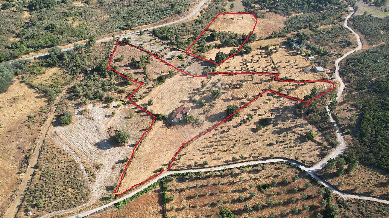Quinta - Vila Franca da Serra, Gouveia, Guarda