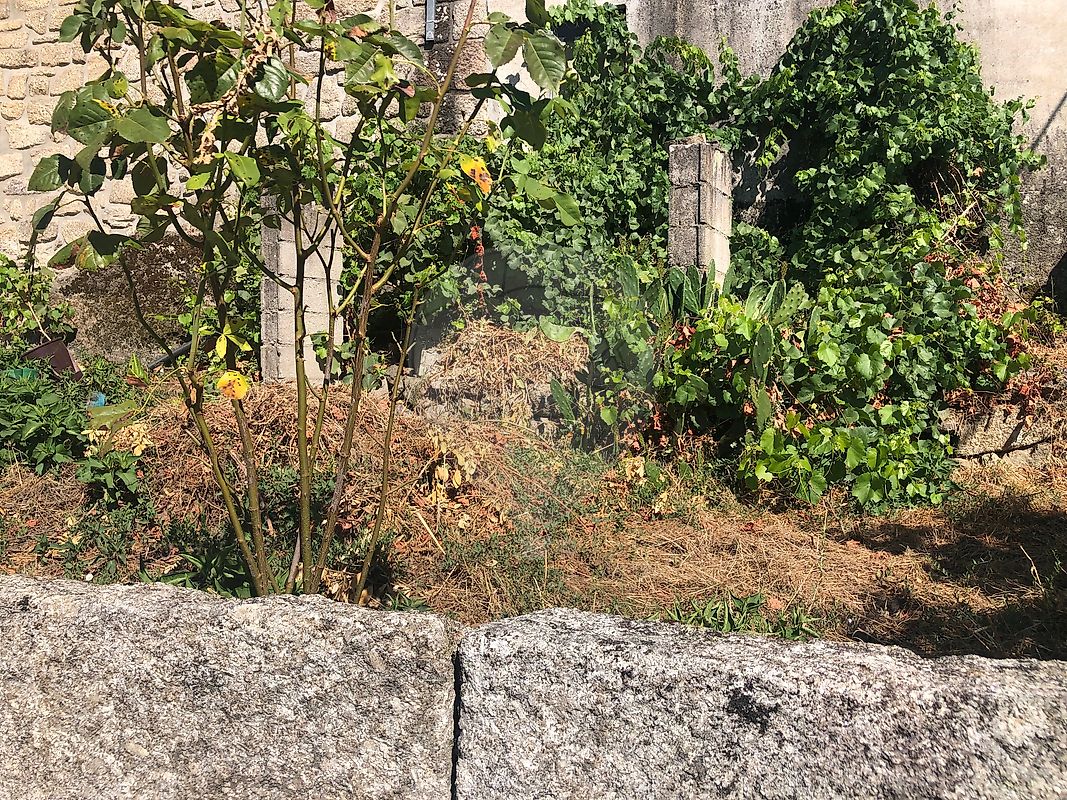 Moradia T2 à venda em Reboleiro, Trancoso — foto 9