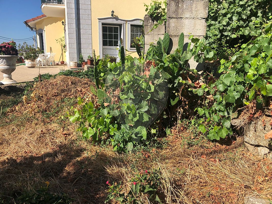 Moradia T2 à venda em Reboleiro, Trancoso — foto 10