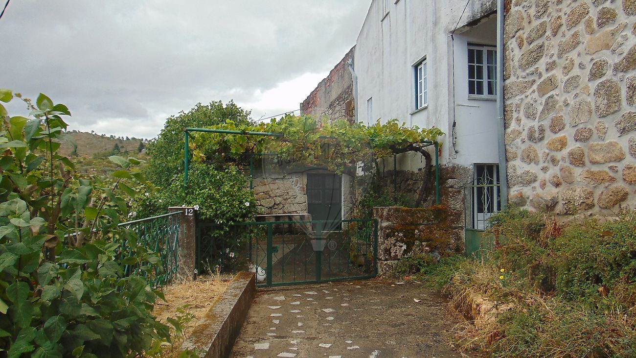 Moradia T4 à venda em Rapa e Cadafaz, Celorico da Beira — foto 12