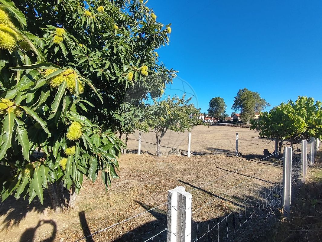 Quinta - Santana da Azinha, Guarda, Guarda