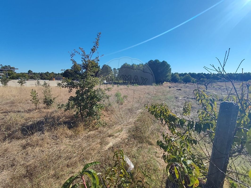 Terreno - Santana da Azinha, Guarda, Guarda