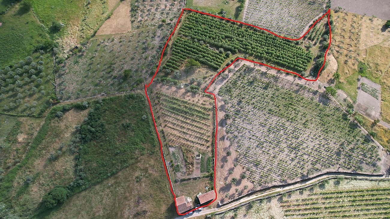 Quinta à venda em Seia