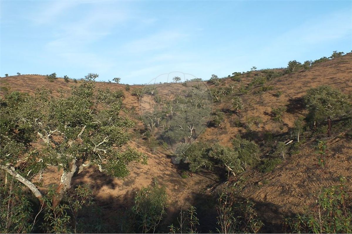 Terreno  à venda em Odemira
