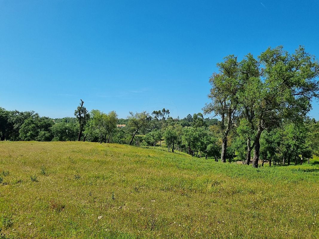 Land for sale in Odemira, Portugal — €130,000