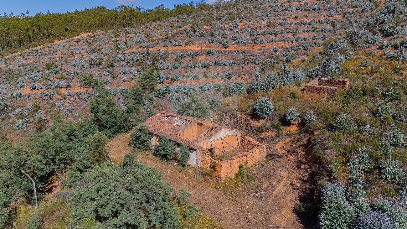 Terreno  à venda em Pereiro Grande