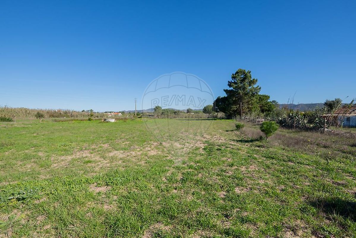 listing-picture-0
