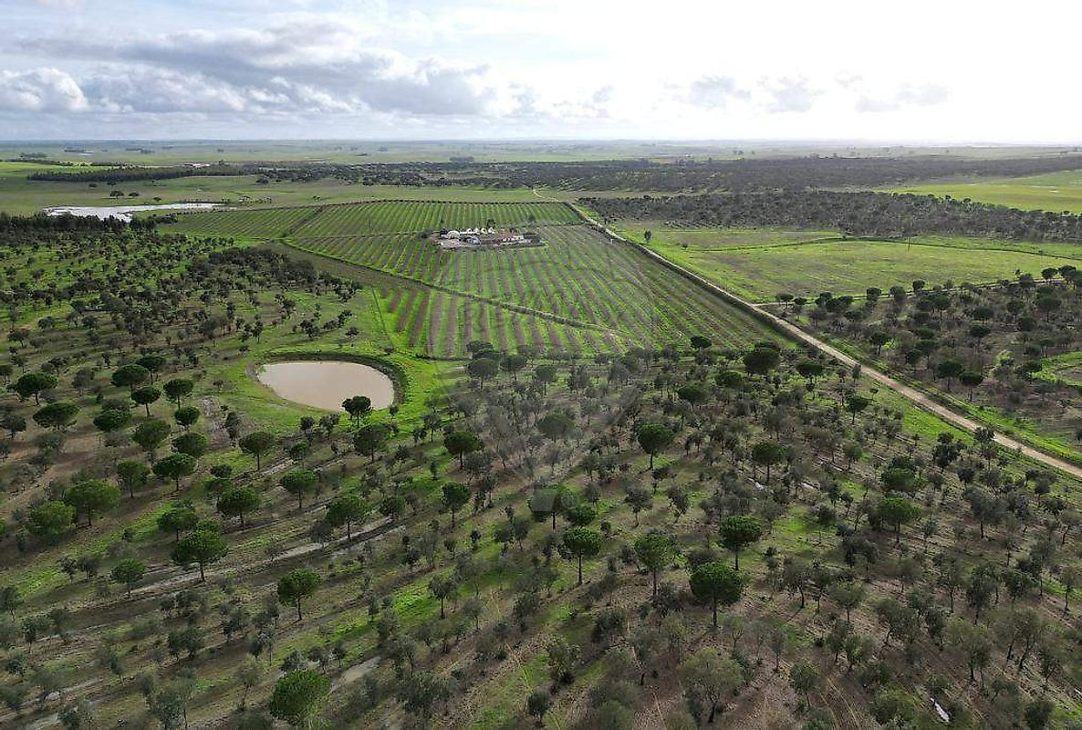 Terreno  para venda