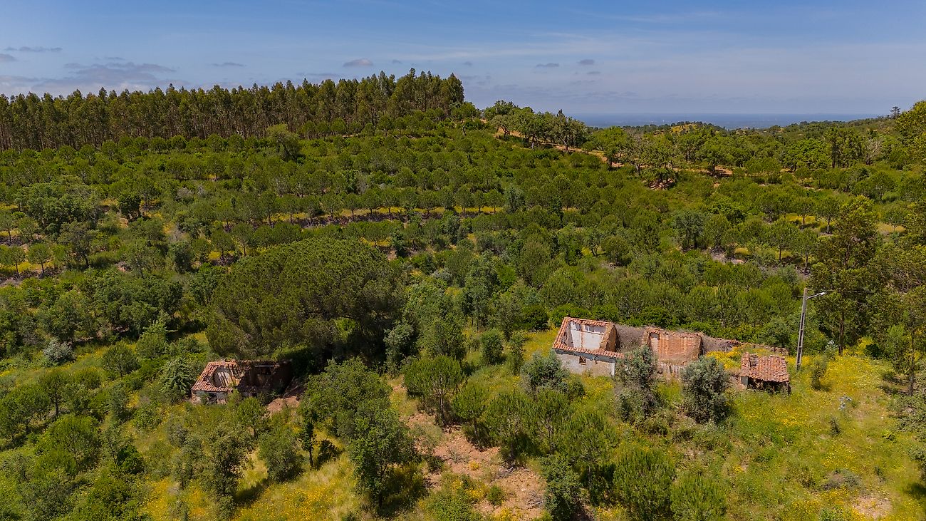 Quinta - Relíquias, Odemira, Beja