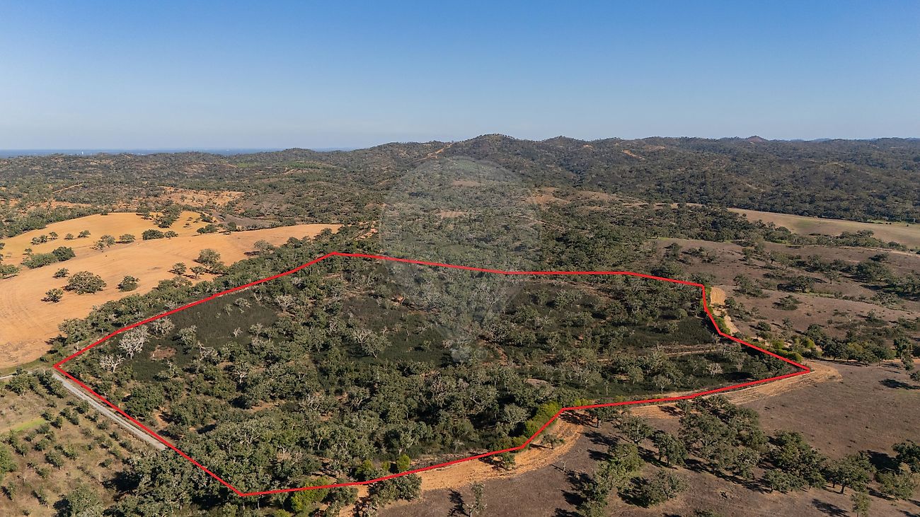 Terreno para venda