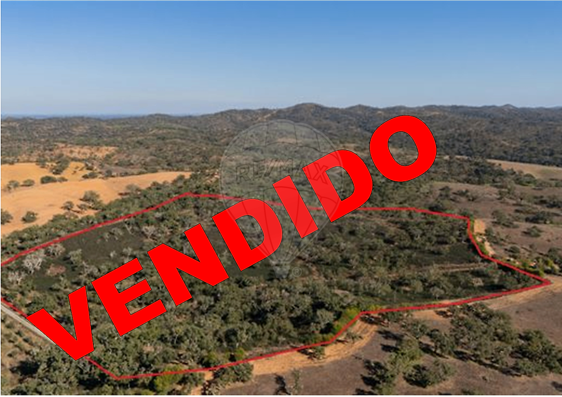 Terreno - Relíquias, Odemira, Beja