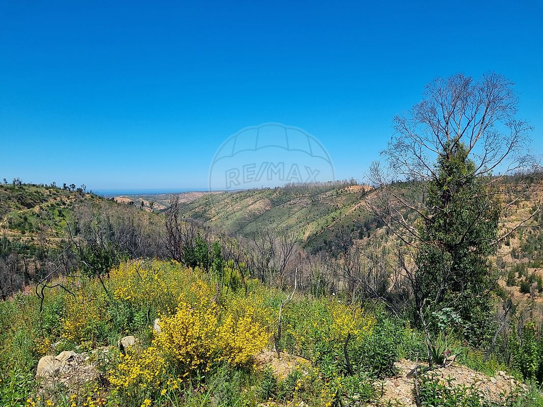 Terreno à venda em Odemira
