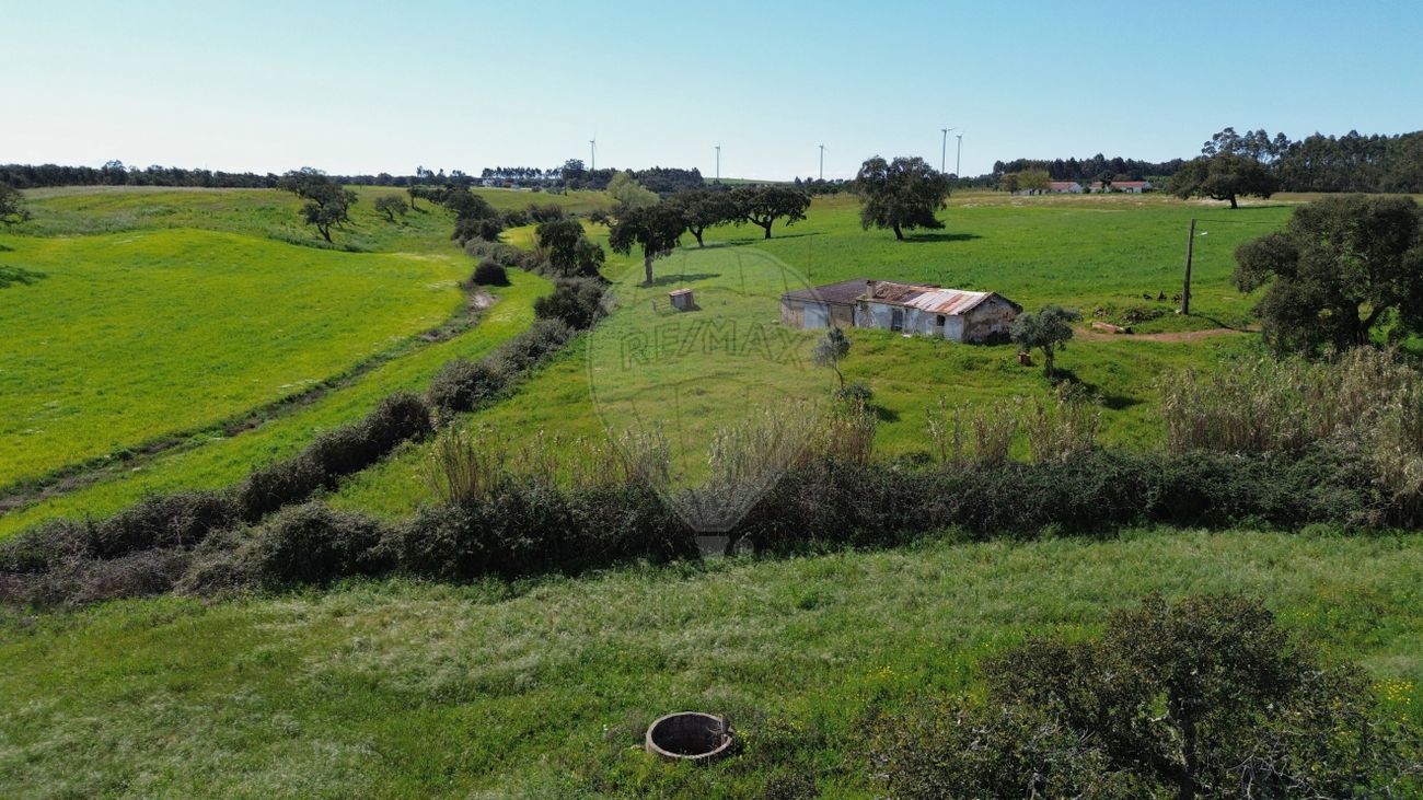 listing-picture-0