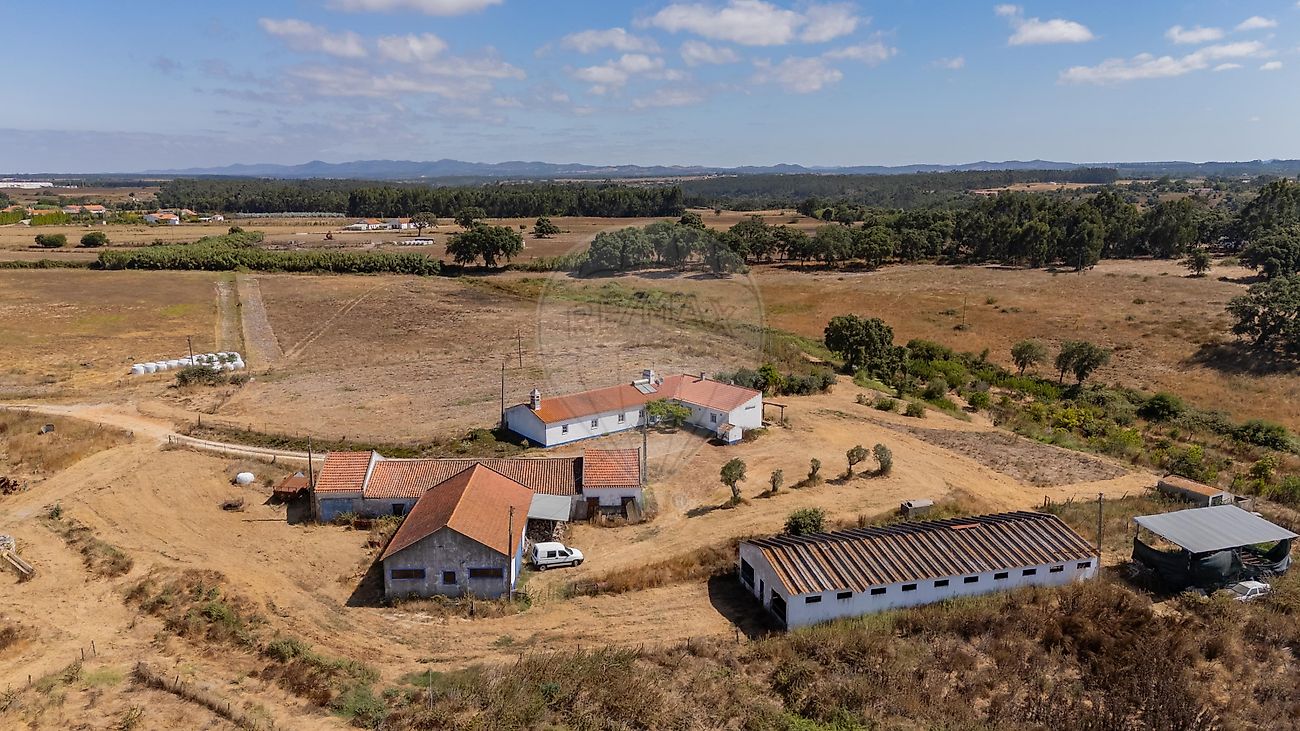 Quinta T5 para venda