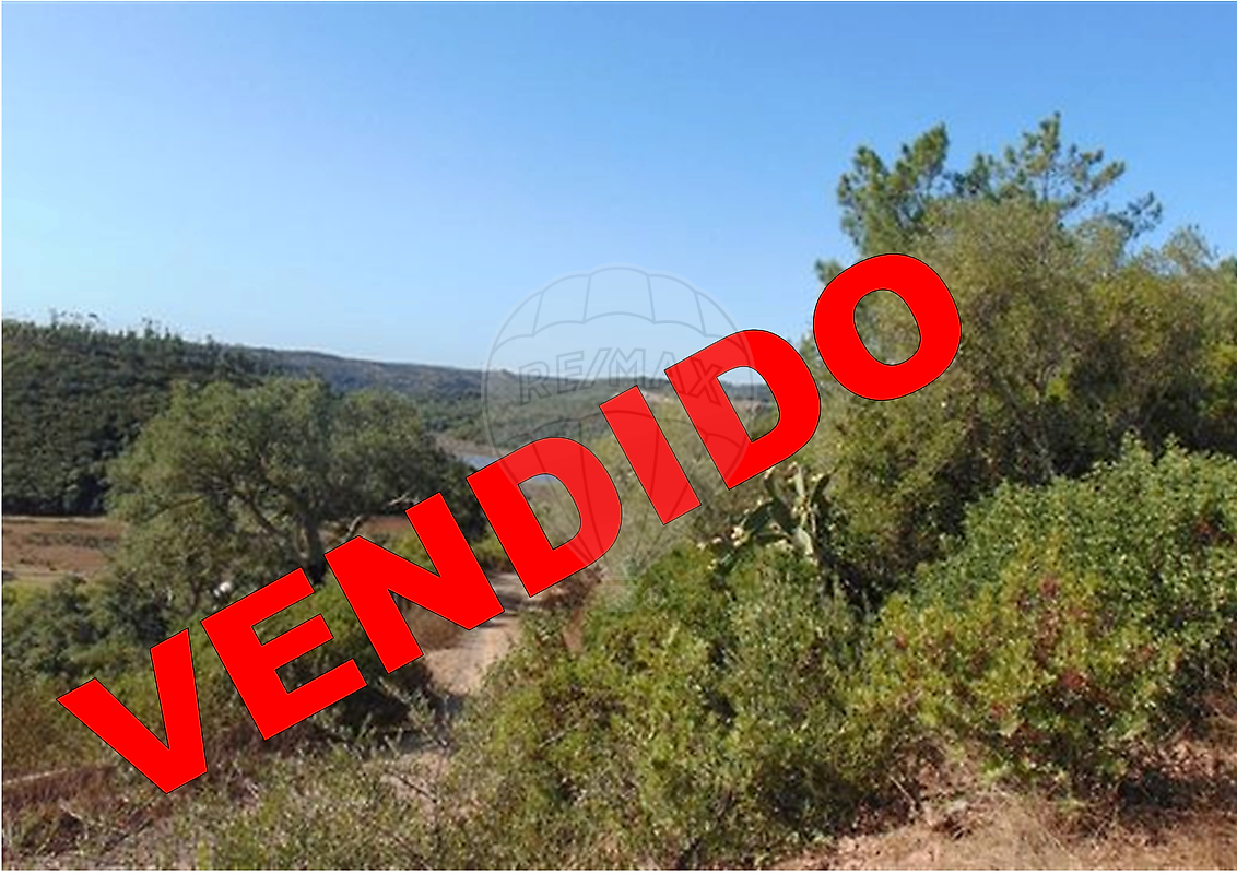 Terreno - São Luís, Odemira, Beja
