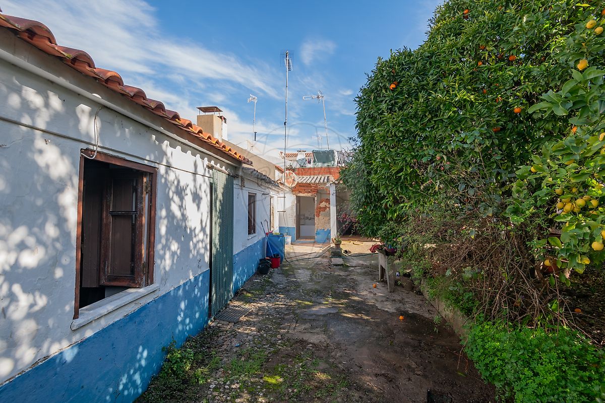 Moradia T3 à venda em Colos, Odemira — foto 16