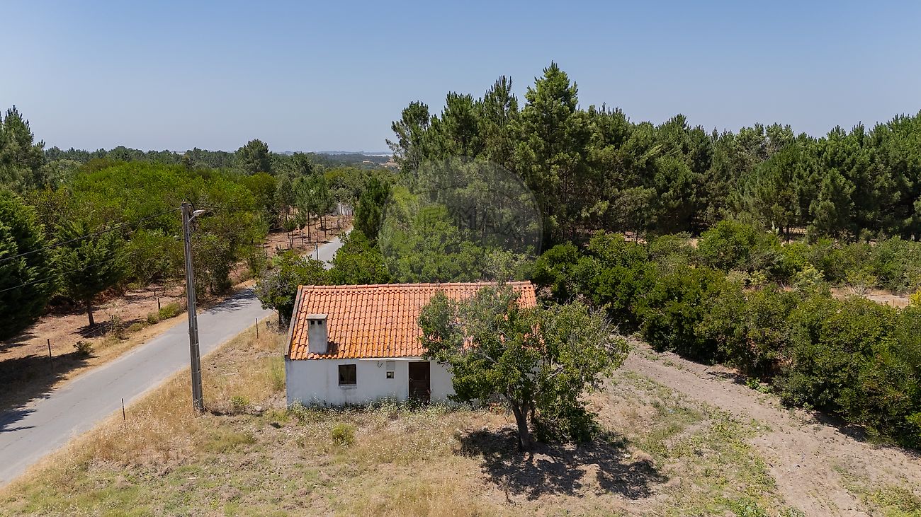 Quinta - Boavista dos Pinheiros, Odemira, Beja