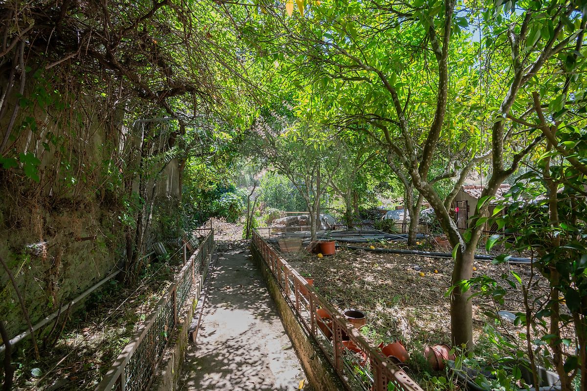 Moradia T3 à venda em Relíquias, Odemira — foto 31
